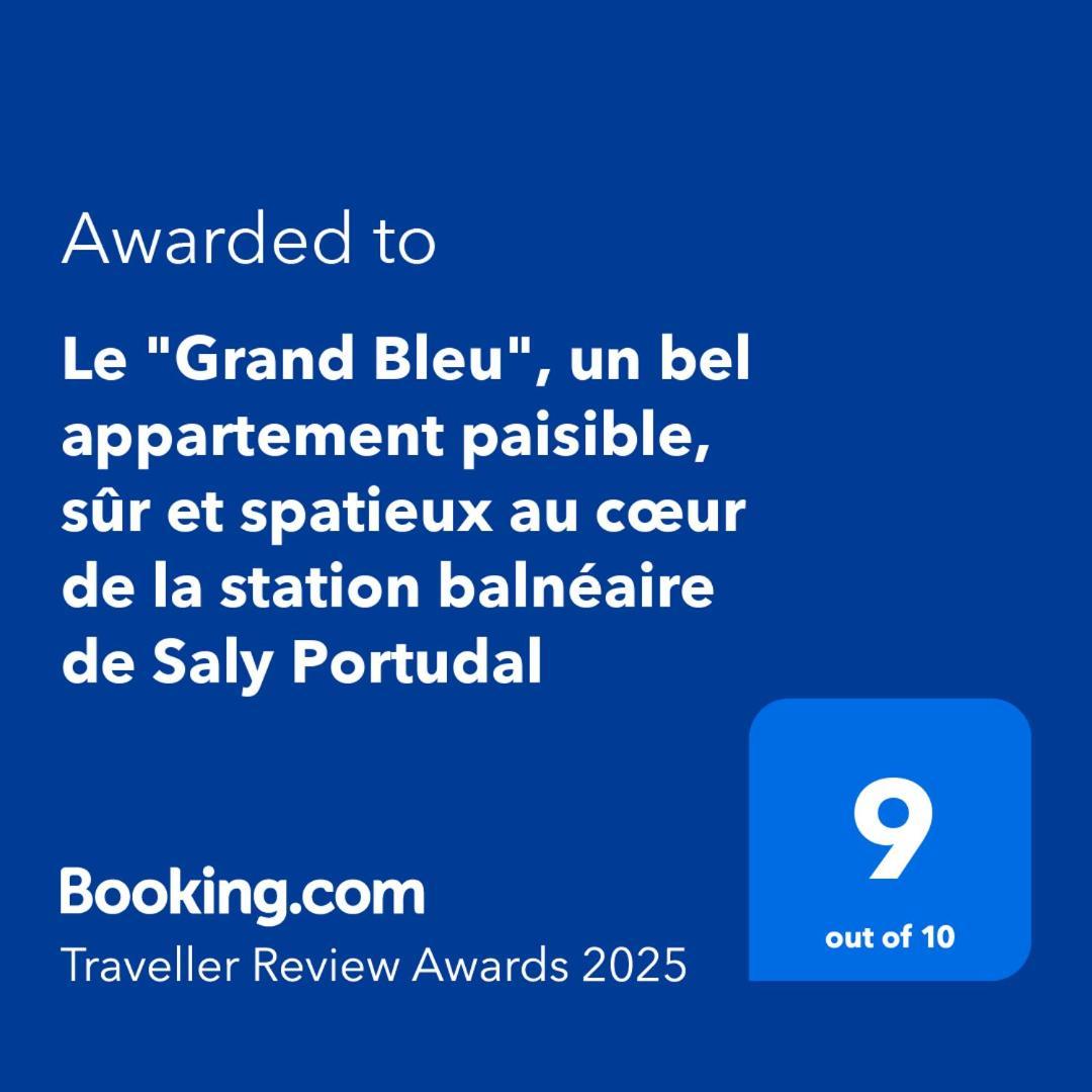 Le "Grand Bleu", Un Bel Appartement Paisible, Sur Et Spatieux Au Coeur De La Station Balneaire De ซาลี ปอร์ตูดัล ภายนอก รูปภาพ